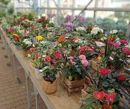 Les Halles aux Fleurs image 6