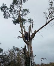 RS Elagages Services image 16