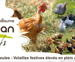 Meignan Guillaume image 2