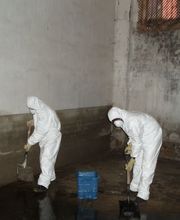 External Fachadas imagen 8