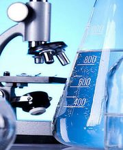 Gallery Professionale