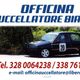 OFFICINA UCCELLATORE BIAGIO Castrol Service
