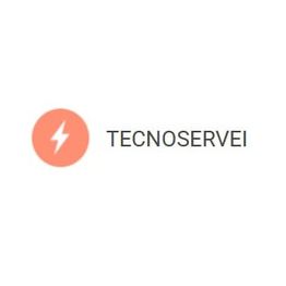 tecnoserveilogo.jpg