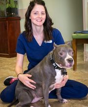 Topaz Veterinary Clinic image 2