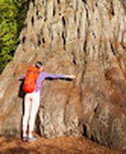 World Travel Service image 1