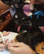 Y yo con estos pelos imagen 7