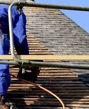 Blanca Ludovic image 1