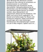 Gecko World e.K. Bild 3
