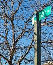Rack Room Shoes image 5