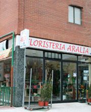 floristeria-aralia-fachada-01.jpg