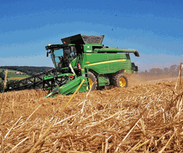 Albisser & Bucher GmbH Bild 3