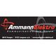 Ammann Elektro AG