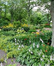 A DOMICILE SERVICES 13 image 5