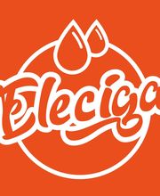 Eleciga image 1