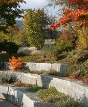 Schneider AG Gartenbau-Architektur Bild 6