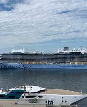 Magnified Vacations CruiseOne image 12