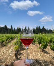 CHÂTEAU DE SÉGRIÈS image 13