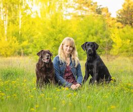 BC Tierfotografie