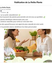 La Petite Plante image 3