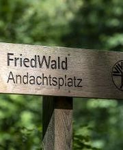 FriedWald Oberau Bild 9