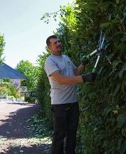 Daniel Moquet signe vos jardins - Ent. Af Services image 19