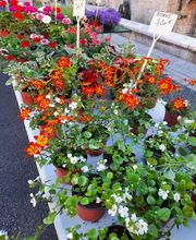 Rapnouil Stephane image 2