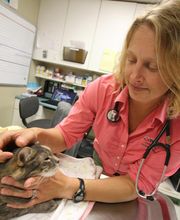 Onion River Animal Hospital image 15