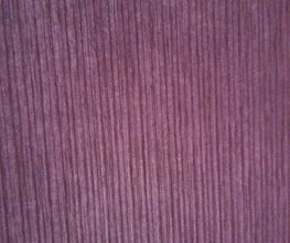 Maler Bleiker Bild 2