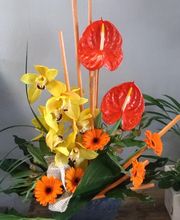 Des Fleurs En Plus image 4