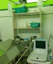 Centro Veterinario Ifach imagen 8