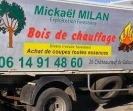 Milan Michael image 1