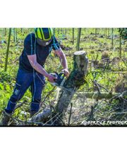 SJ TRAVAUX image 2