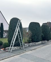 Gartenservice Mark Miess Bild 23