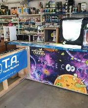 Jungle Paradise image 8