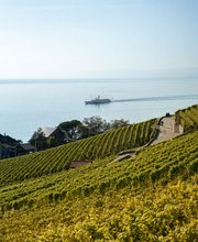 Caveau Ponnaz & Fils Bild 2