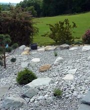 Riggenbach Thörishaus AG Gartenbau + Liegenschaftsdienst Bild 12