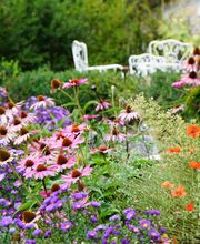 Niesen Gärten GmbH Bild 4