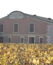 CHÂTEAU ROUMIEU image 2