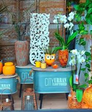 Sara Fiori immagine 2