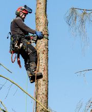 VB Dienstleistung GmbH Bild 10