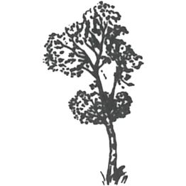 Logo der Birken-Apotheke