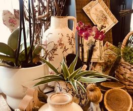 La Delicatesse image 14