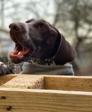 Martin Hofmann Bild 6