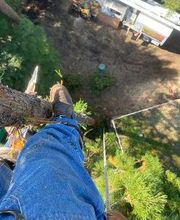 Climbers Tree Care Specialist, Inc. image 6