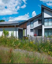 Geigenmüller Dach + Wand Bild 2