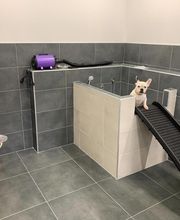 ZOOMALIA Revel 31 | Animalerie image 17