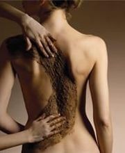 Bulle de Douceur Mansle image 2