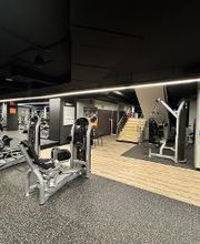 Gimnasio VivaGym Boston imagen 6