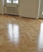 Dino Parquet Peinture Bild 2
