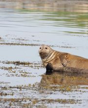 LA ROUTE DES VOYAGES ANNECY image 11